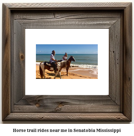 horse trail rides near me in Senatobia, Mississippi